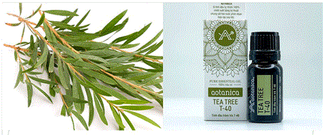 Tìm kiếm cơ hội đầu tư tại Sàn giao dịch công nghệ TPHCM